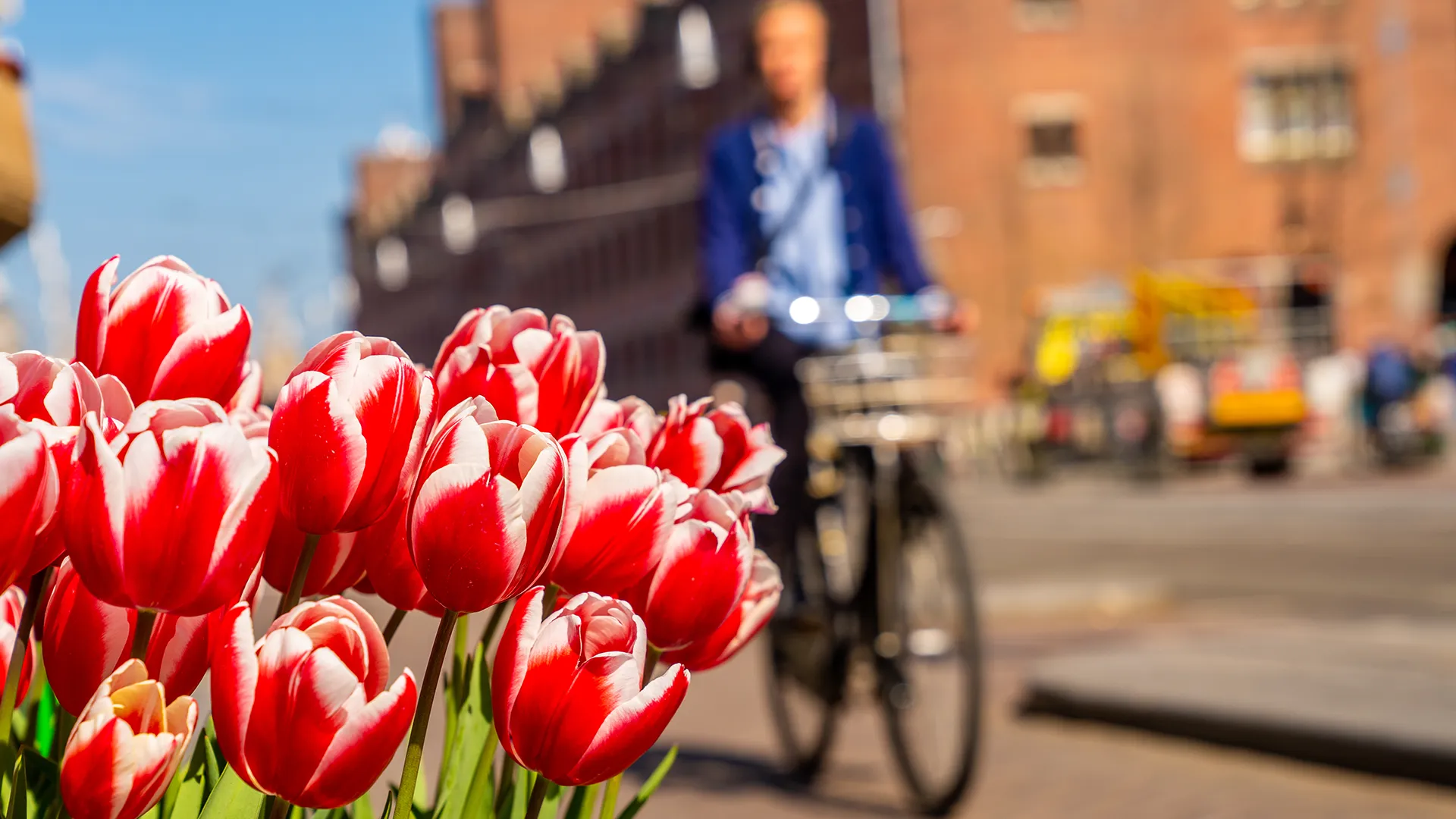 Hoe bereid ik me voor op een ramp in Nederland